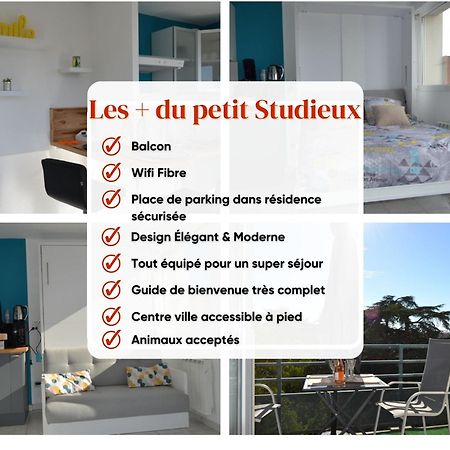Le Petit Studieux - Parking - Animaux Acceptes - Centre Ville Accessible A Pied Albi Bagian luar foto