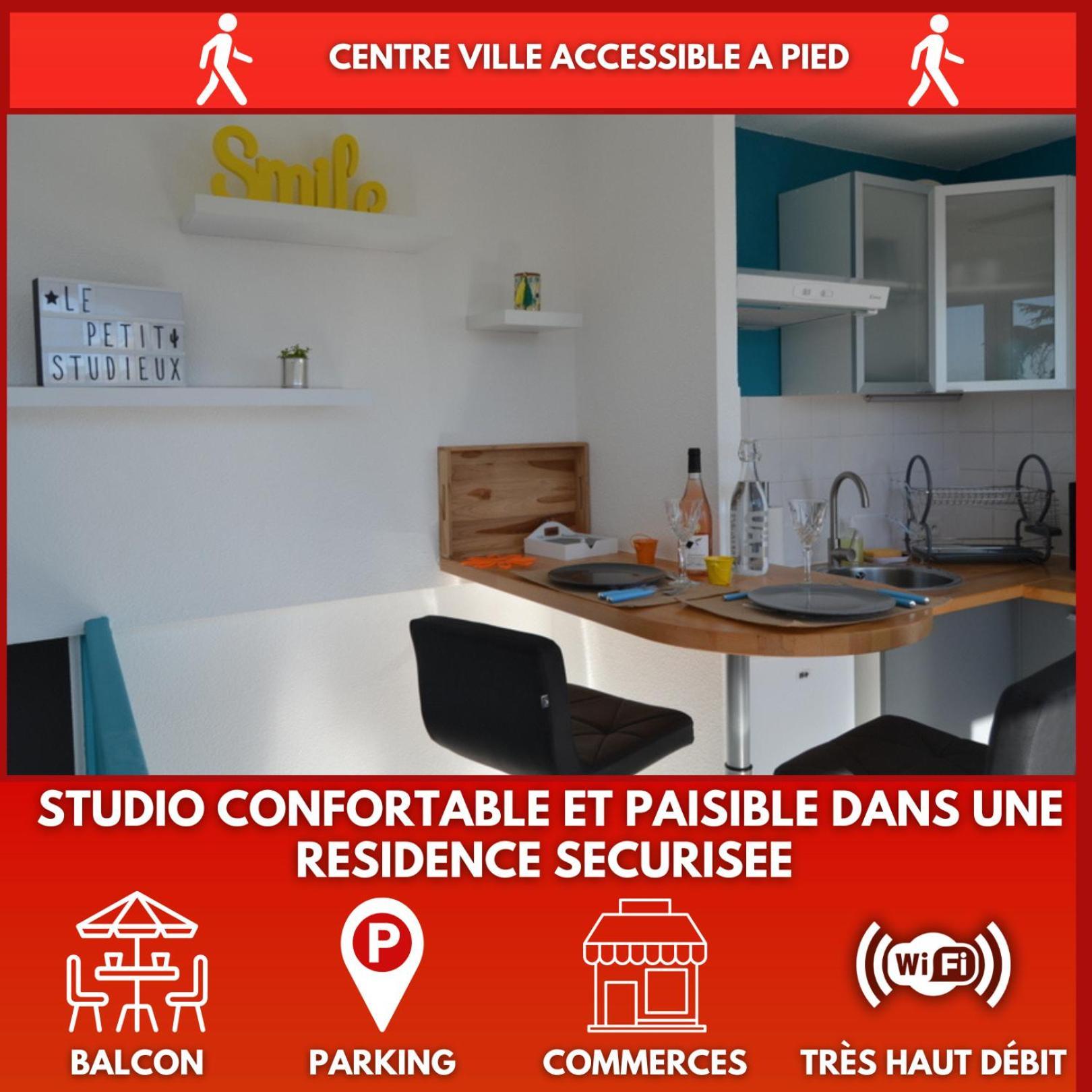 Le Petit Studieux - Parking - Animaux Acceptes - Centre Ville Accessible A Pied Albi Bagian luar foto