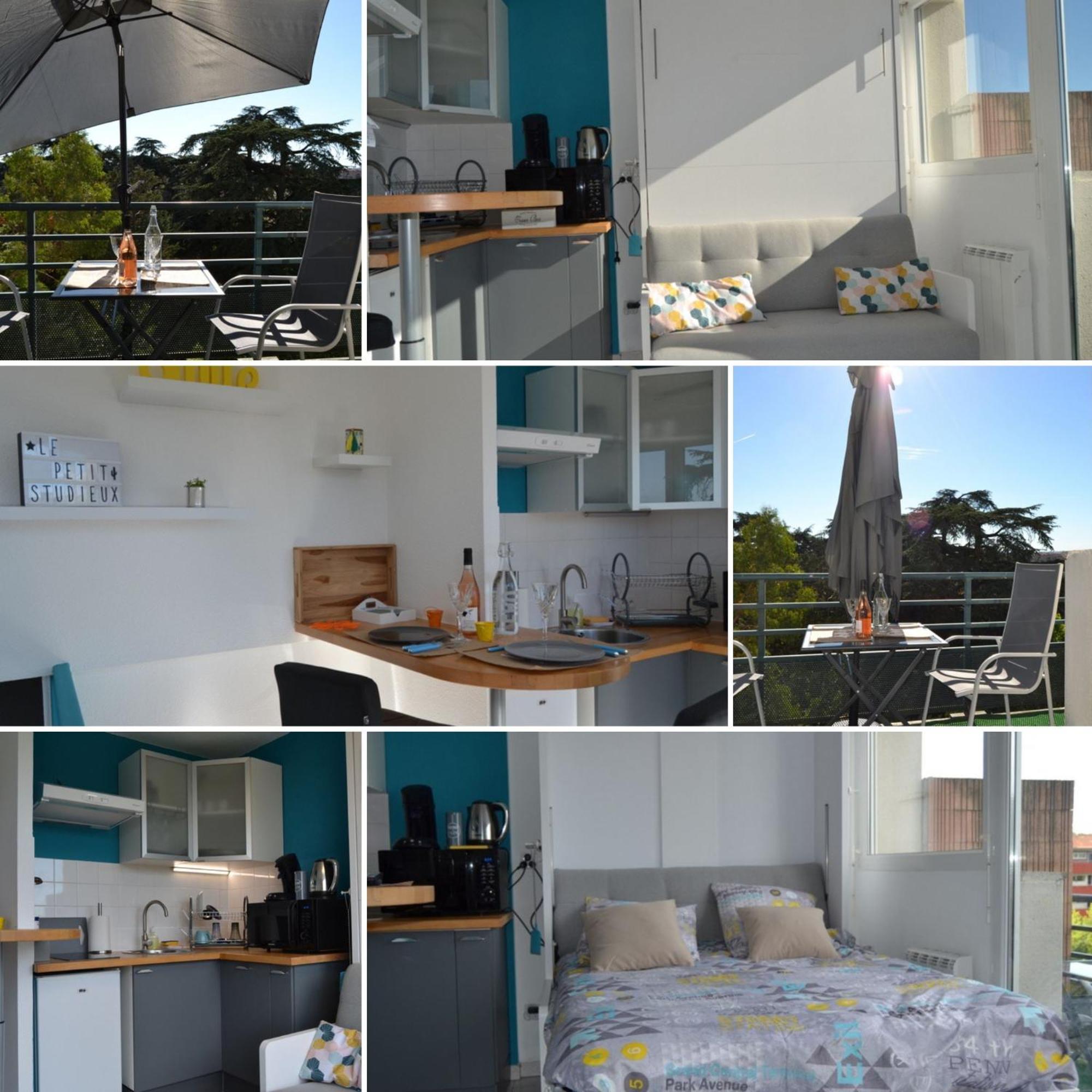 Le Petit Studieux - Parking - Animaux Acceptes - Centre Ville Accessible A Pied Albi Bagian luar foto