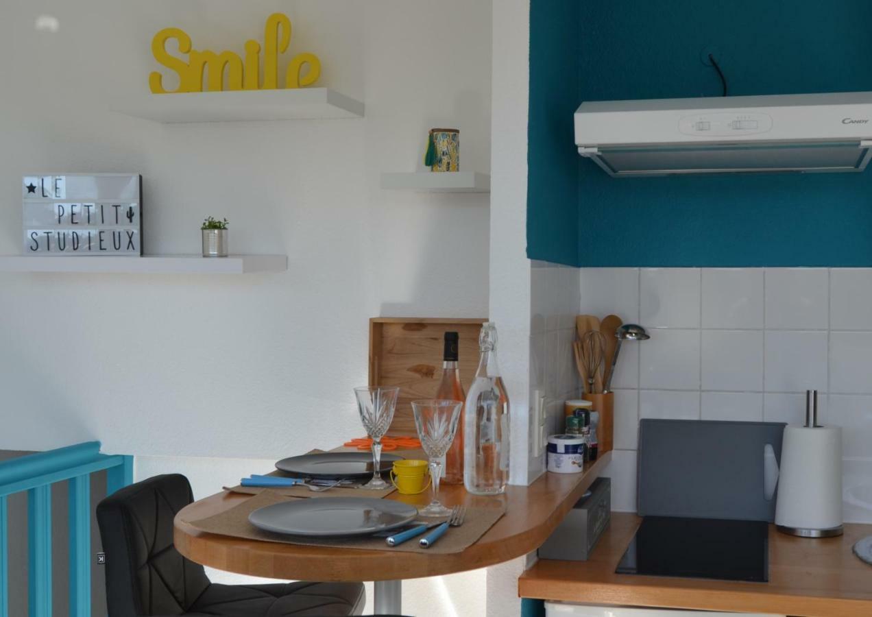 Le Petit Studieux - Parking - Animaux Acceptes - Centre Ville Accessible A Pied Albi Bagian luar foto