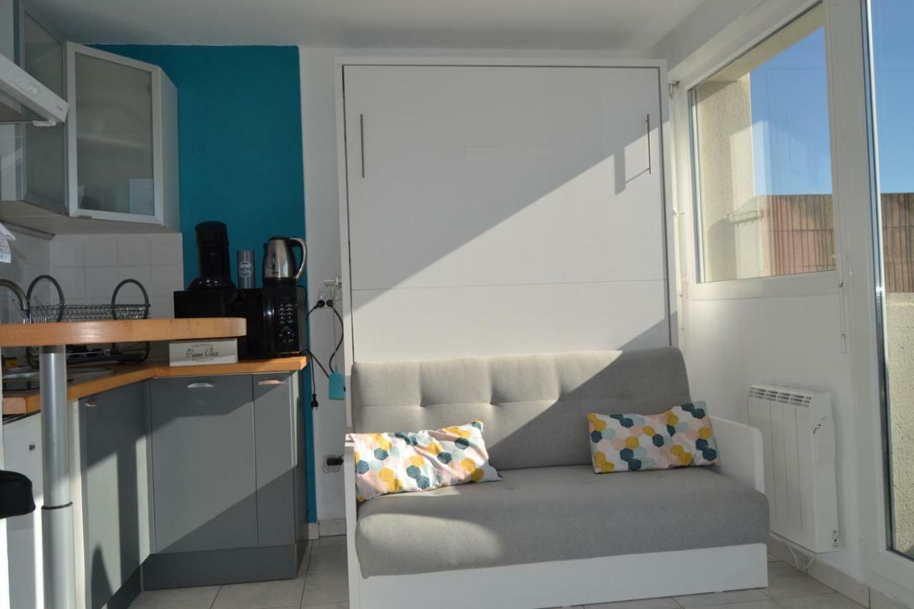 Le Petit Studieux - Parking - Animaux Acceptes - Centre Ville Accessible A Pied Albi Bagian luar foto