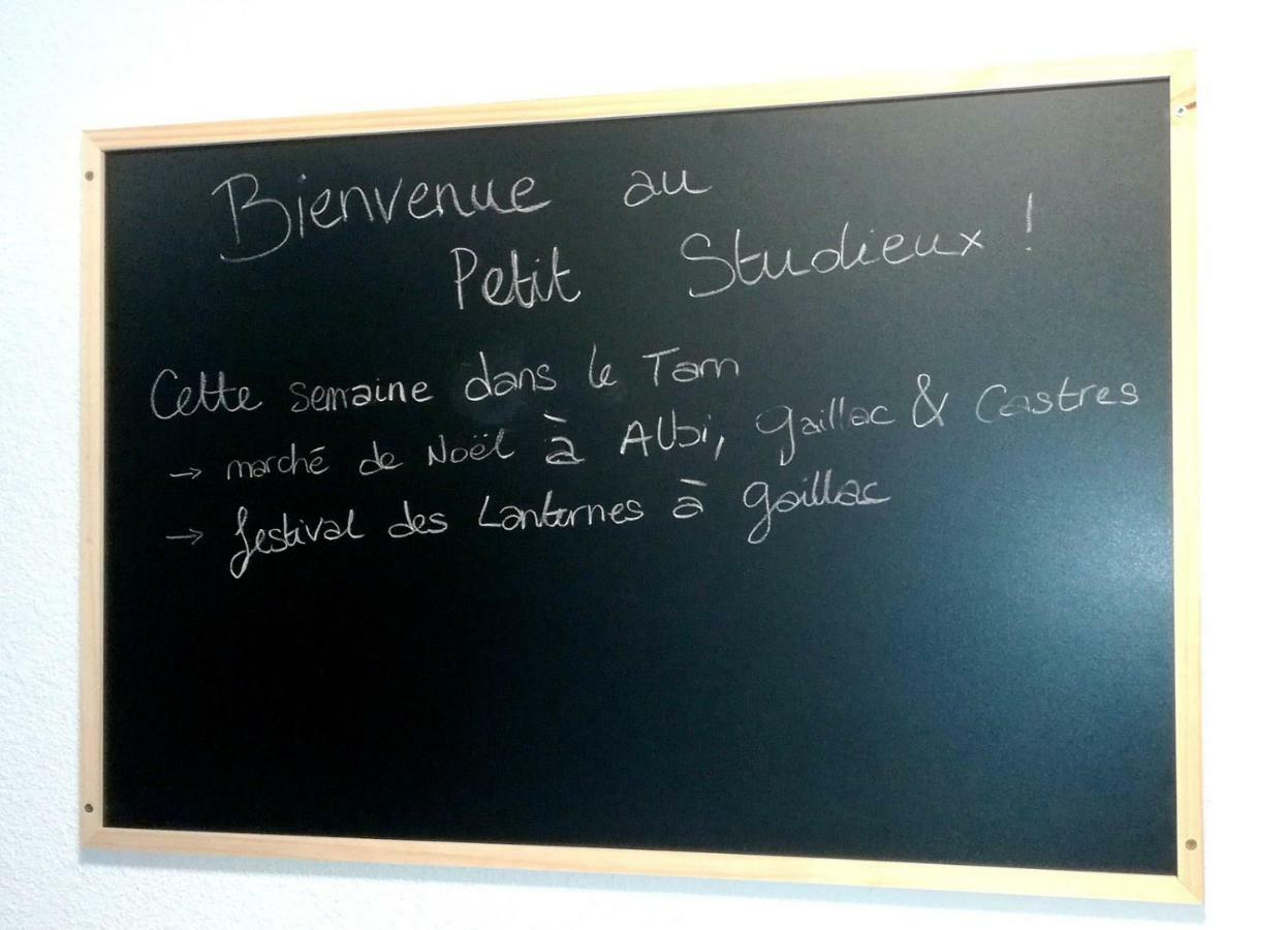 Le Petit Studieux - Parking - Animaux Acceptes - Centre Ville Accessible A Pied Albi Bagian luar foto
