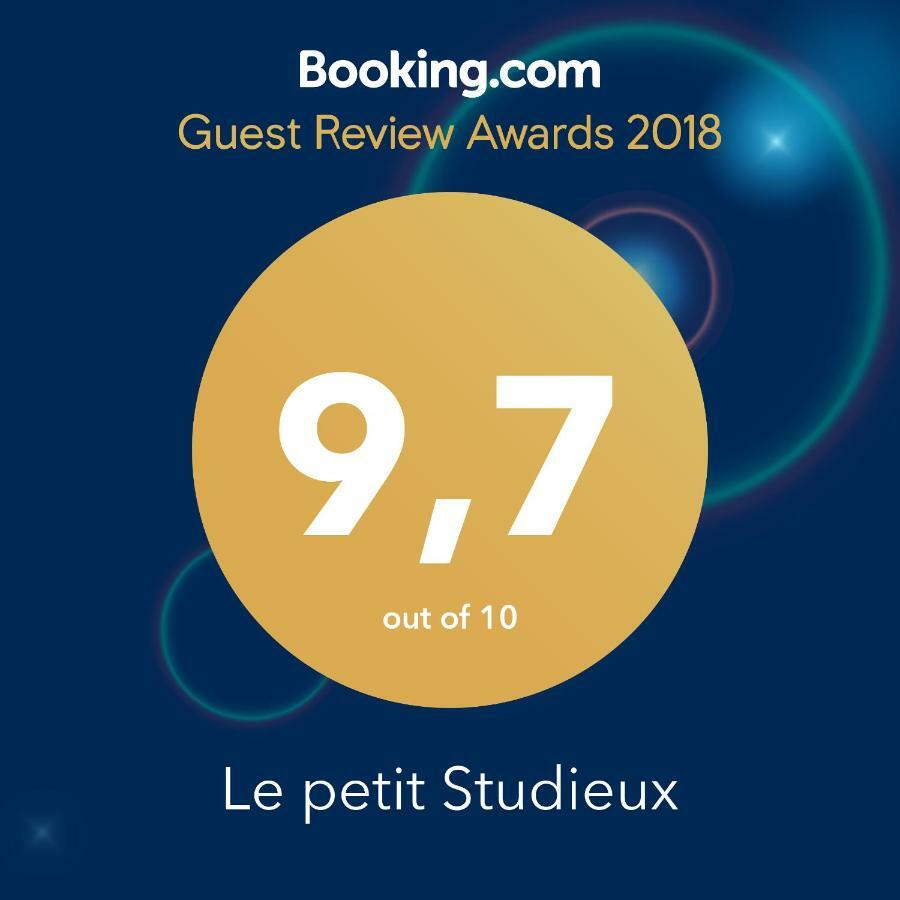 Le Petit Studieux - Parking - Animaux Acceptes - Centre Ville Accessible A Pied Albi Bagian luar foto
